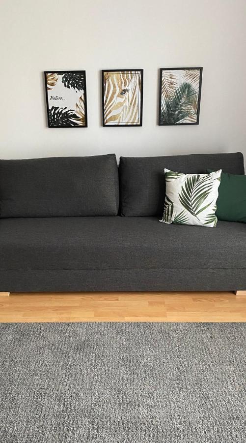 Apartament Nature Lejlighed Piaseczno  Eksteriør billede